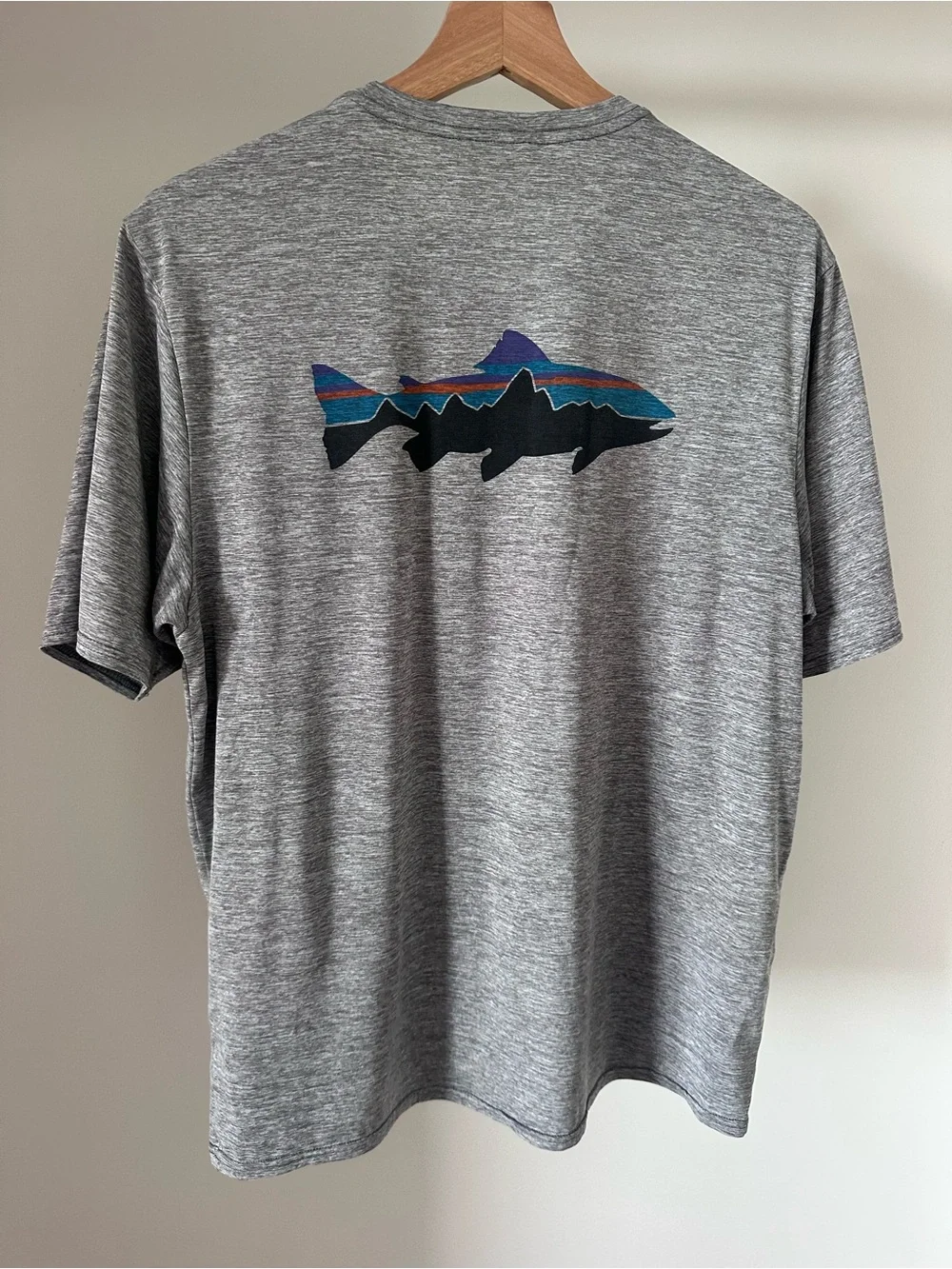 Patagonia Men's Capilene® Cool Daily Fish Graphic T-Shirt - Picture 3 of 4